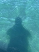 16th Apr 2022 - Shadow on water