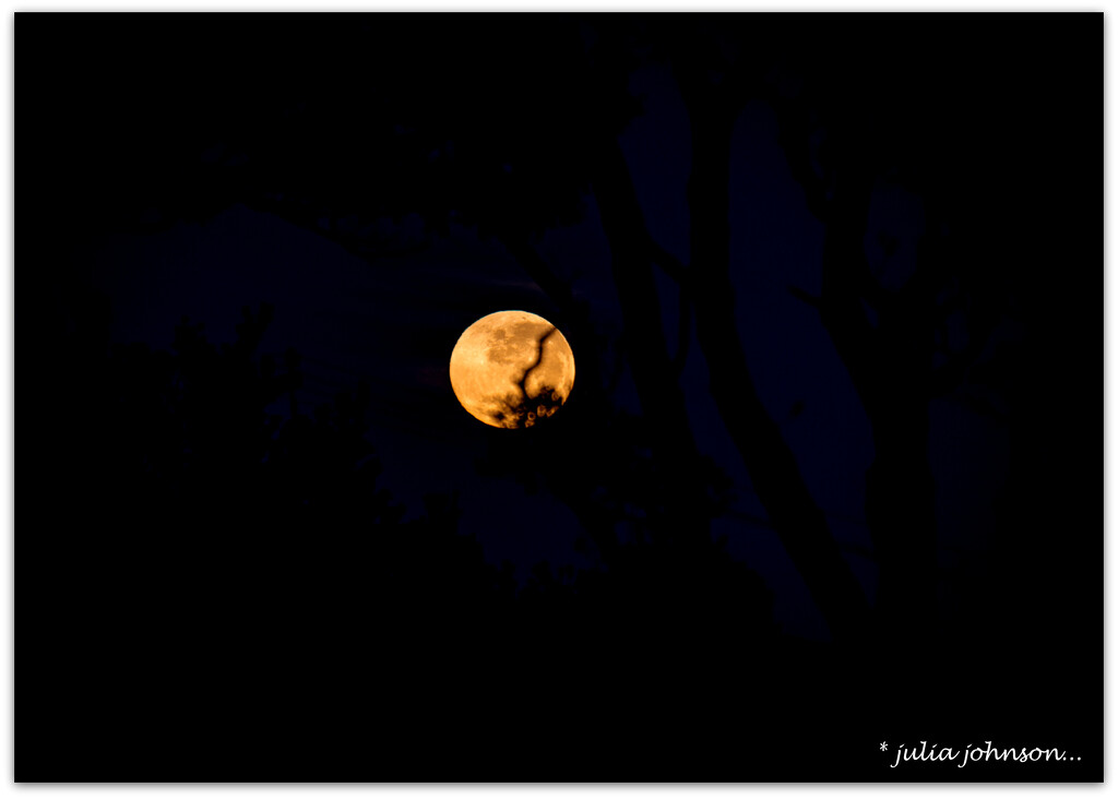 Golden Moon.. by julzmaioro