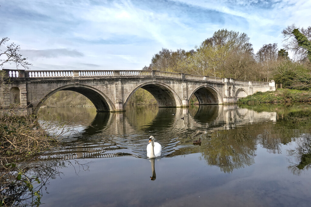 Picture Perfect - Clumber Park Ornamental Bridge by phil_howcroft