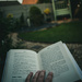 ‘Evening Reading’ by gavj