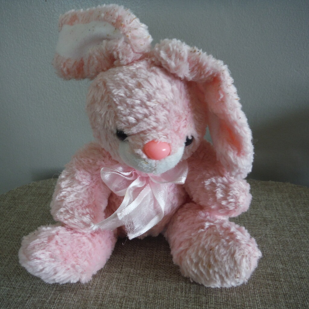 Pink #1: Bunny by spanishliz