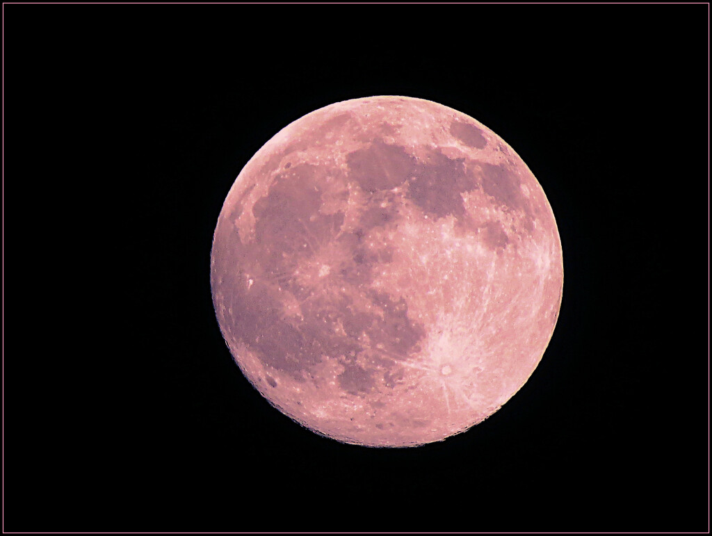 A Pink Moon for Lisa by olivetreeann
