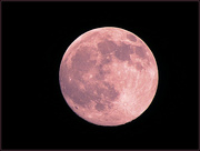 16th Apr 2022 - A Pink Moon for Lisa