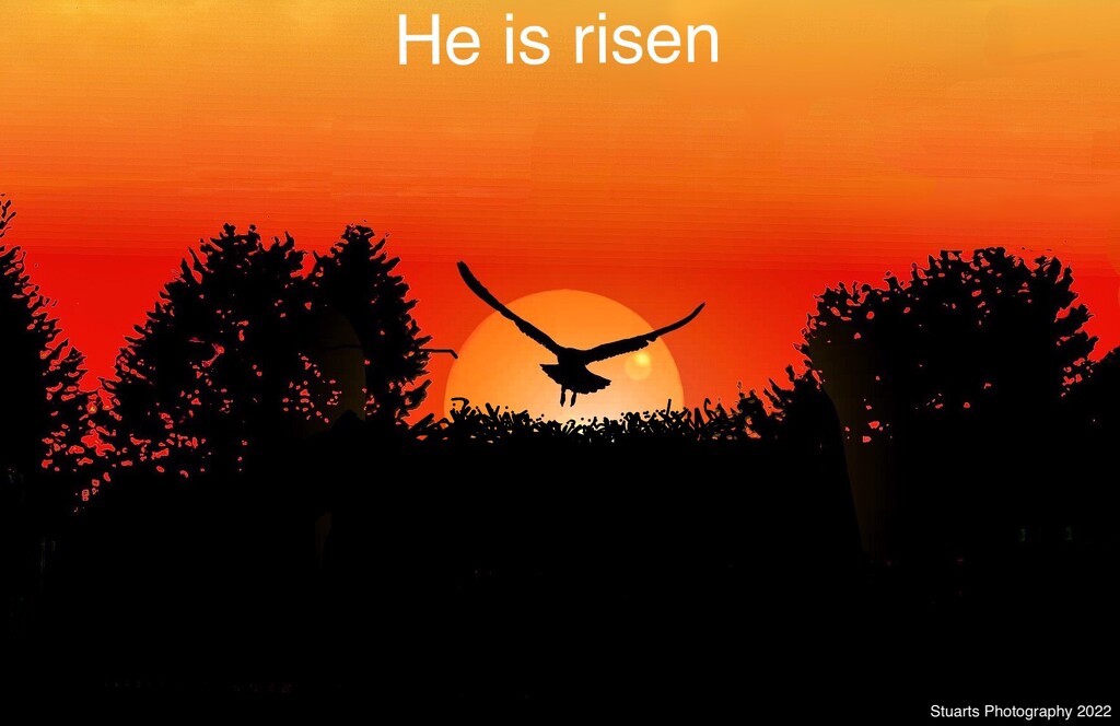 He is risen by stuart46