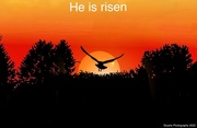 17th Apr 2022 - He is risen