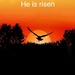He is risen by stuart46