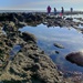 Rock pools at Rottingdean  by boxplayer
