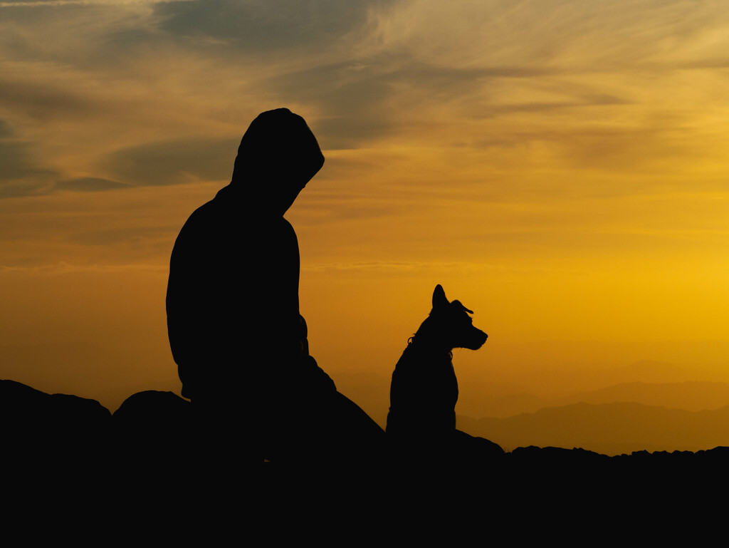 A boy and his dog by christinav