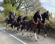 12th Apr 2022 - Carriage & Horses