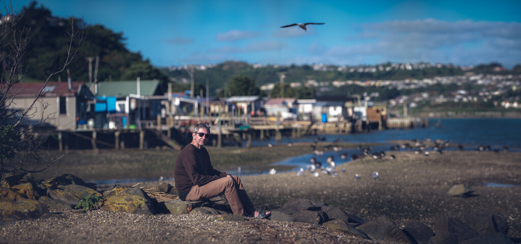 Sitting on a Rock at The Bay by helenw2