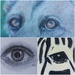 Eye Art  by salza
