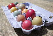 17th Apr 2022 - Easter Eggs