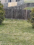 17th Apr 2022 - Easter Sunday snow 1