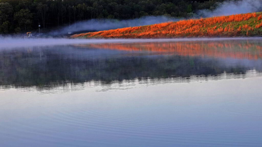 Early Rising Mist by milaniet