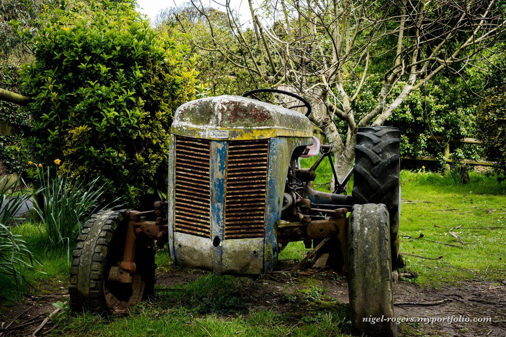 Old Tractor by nigelrogers