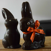 18th Apr 2022 - Easter bunnies