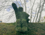 18th Apr 2022 - Topiary Man
