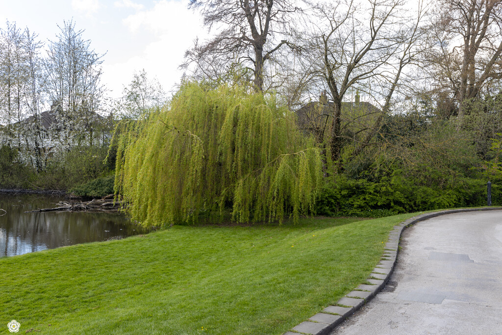 East Riddlesden Hall by lumpiniman