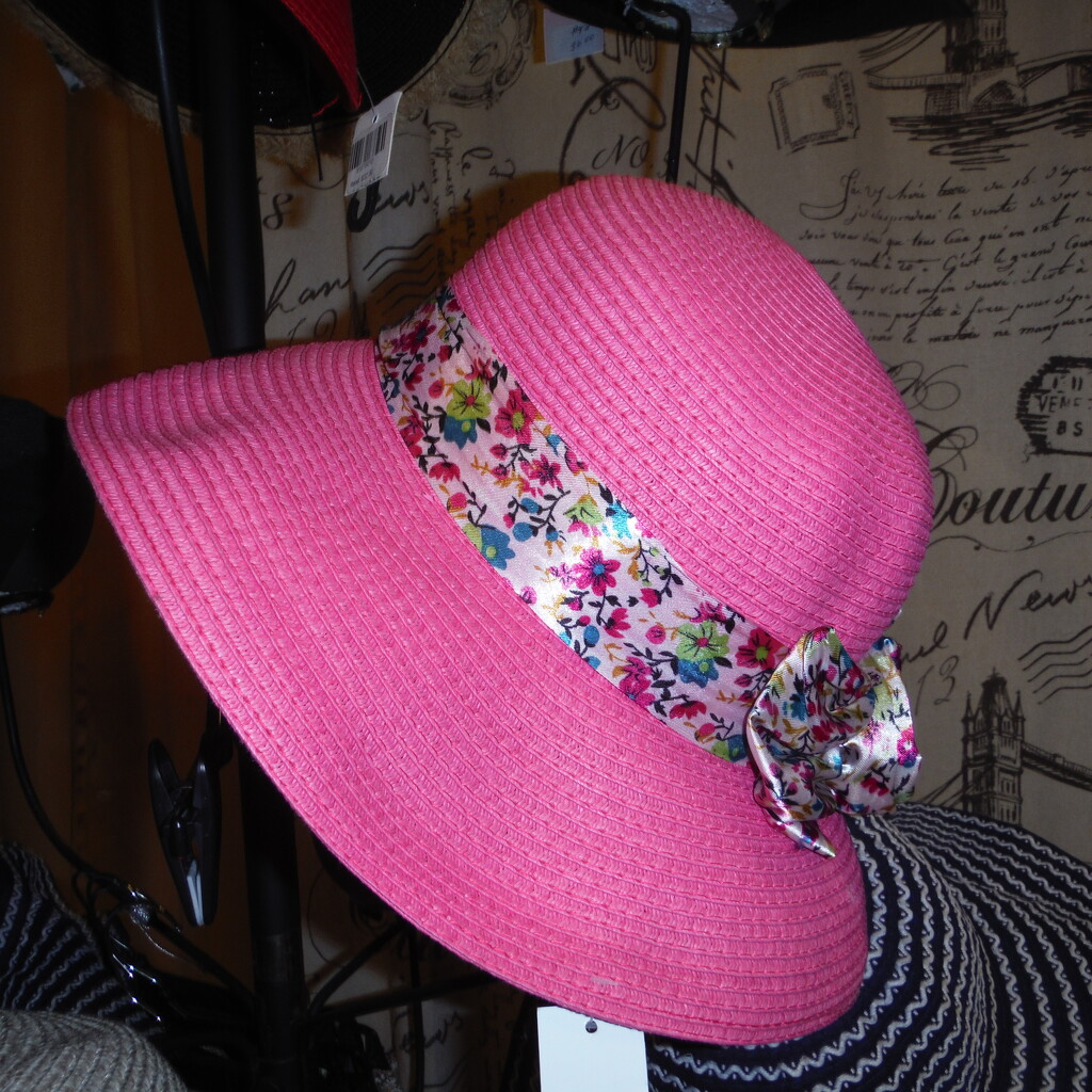 Pink #3: Hat by spanishliz