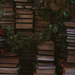 Home library by daryavr