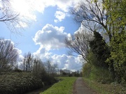 2nd Apr 2022 - Clouds and Trees