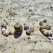 Shells love.  by cocobella