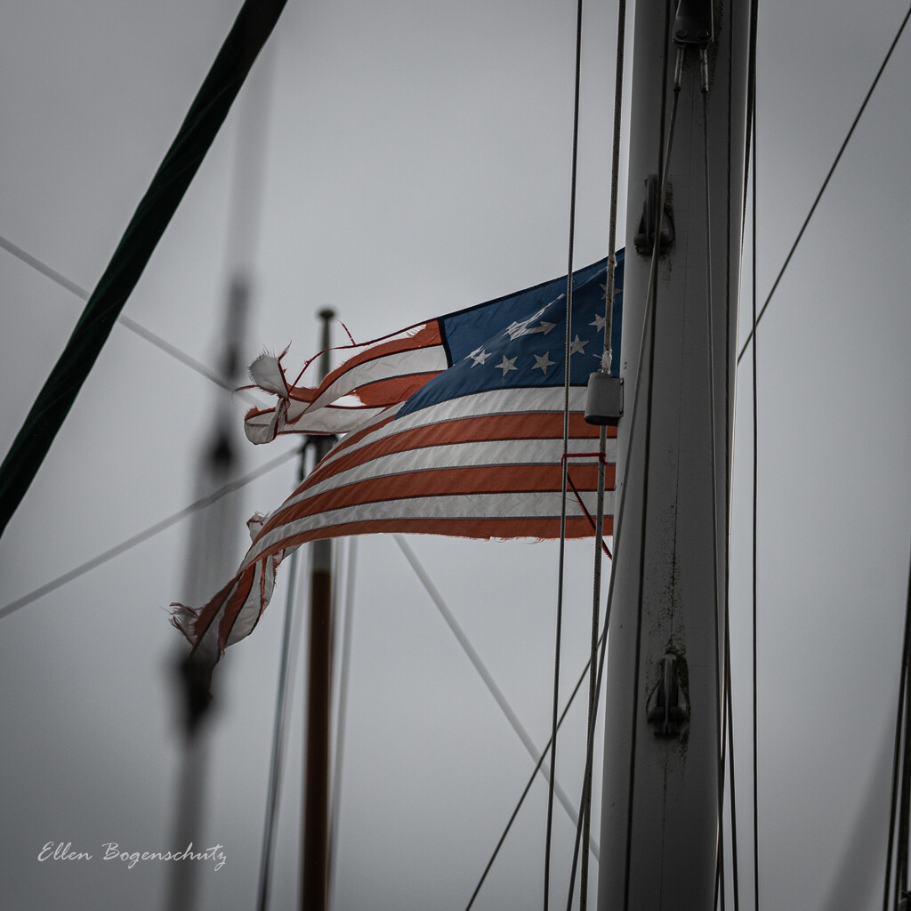 Old Glory Has Seen Better Days by theredcamera