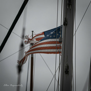 18th Apr 2022 - Old Glory Has Seen Better Days