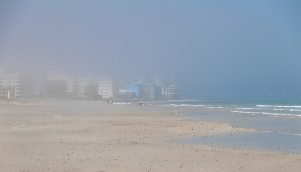 A foggy morning by ludwigsdiana