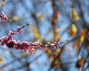 19th Apr 2022 - April 19: Spring Colors