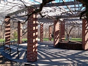 19th Apr 2022 - Arboretum Shadows