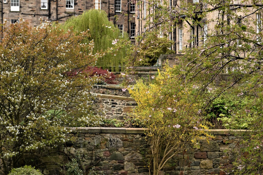 Edinburgh garden walls by christophercox