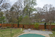 18th Apr 2022 - Backyard day 21