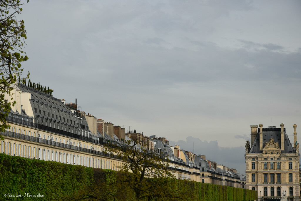 rue de Rivoli from Tuileries garden by parisouailleurs
