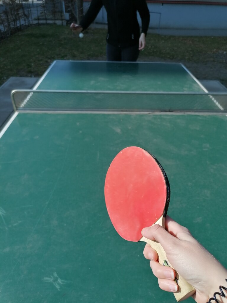 18 ping pong cuz why not by zardz