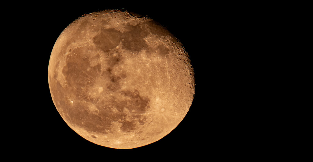 Last Night's Moon! by rickster549