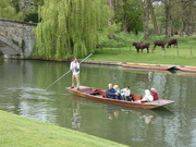 20th Apr 2022 - Relaxing on the Cam