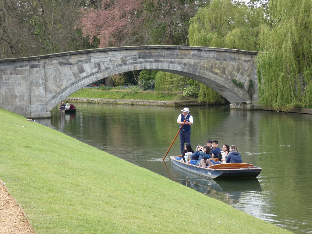Punting near King's by g3xbm