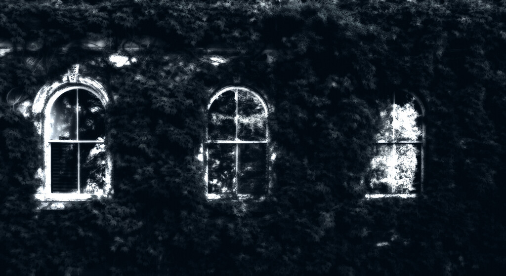 three windows by brigette