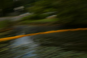 19th Apr 2022 - ICM: the pond barrier