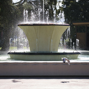 7th Apr 2022 - Fountain