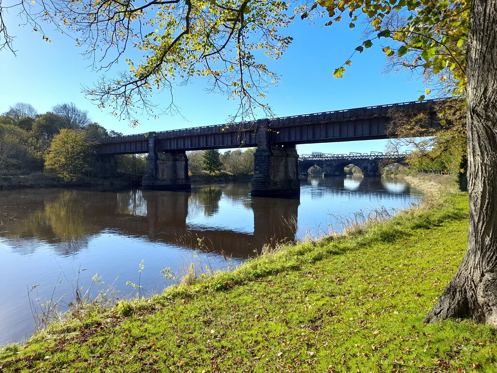 Avenham Park Railway Bridge by mazlu