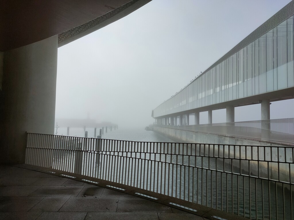 Foggy day by belucha