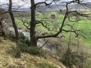 8th Apr 2022 - A Walk Here in Herefordshire 