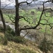 A Walk Here in Herefordshire  by susiemc