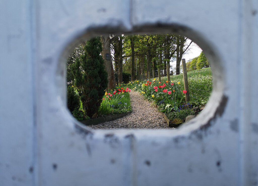 View through Hole in Door by sanderling