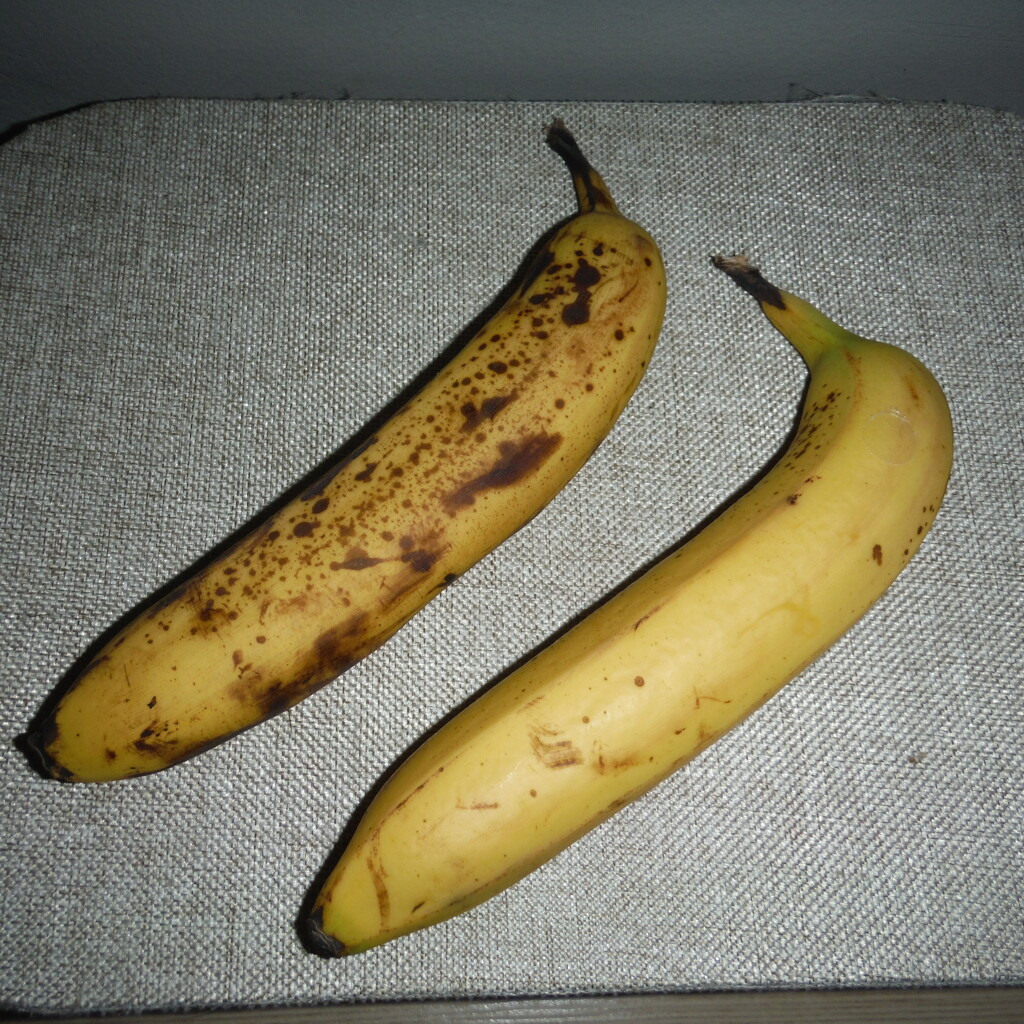 Banana Day/Look Alike Day by spanishliz