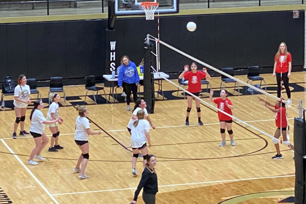 6th grade volleyball action by tunia