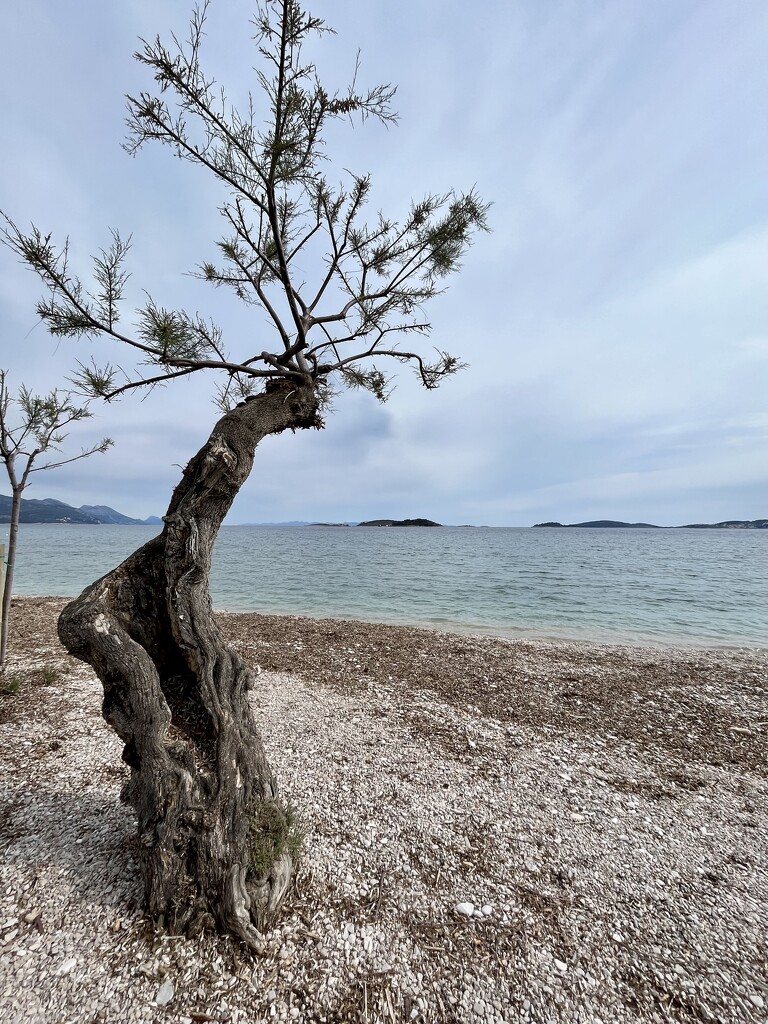 Adriatic Sea by graceratliff