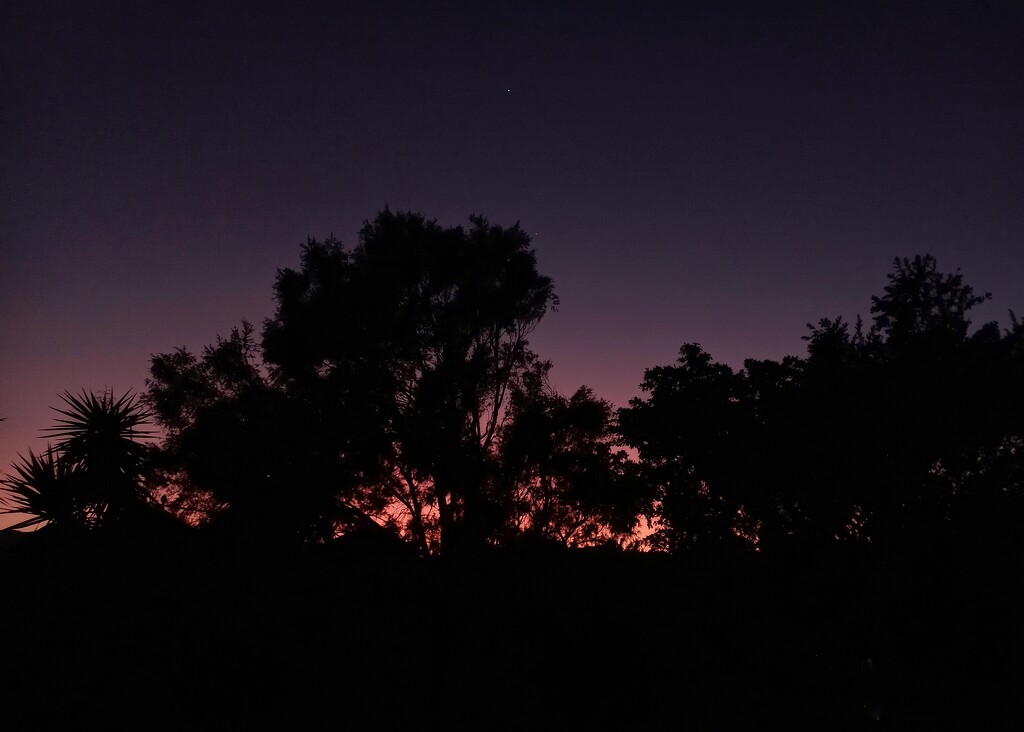 Silhouettes at dawn  by salza